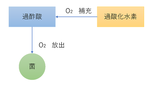 メカニズム